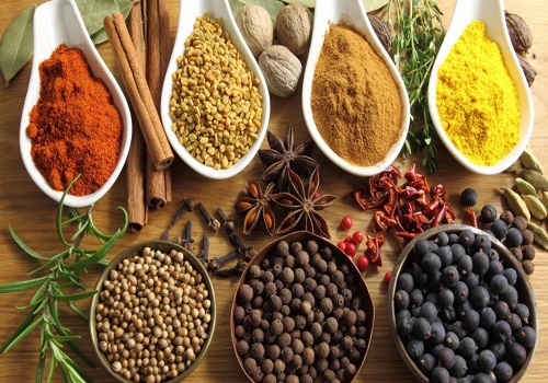 Spice masala powder